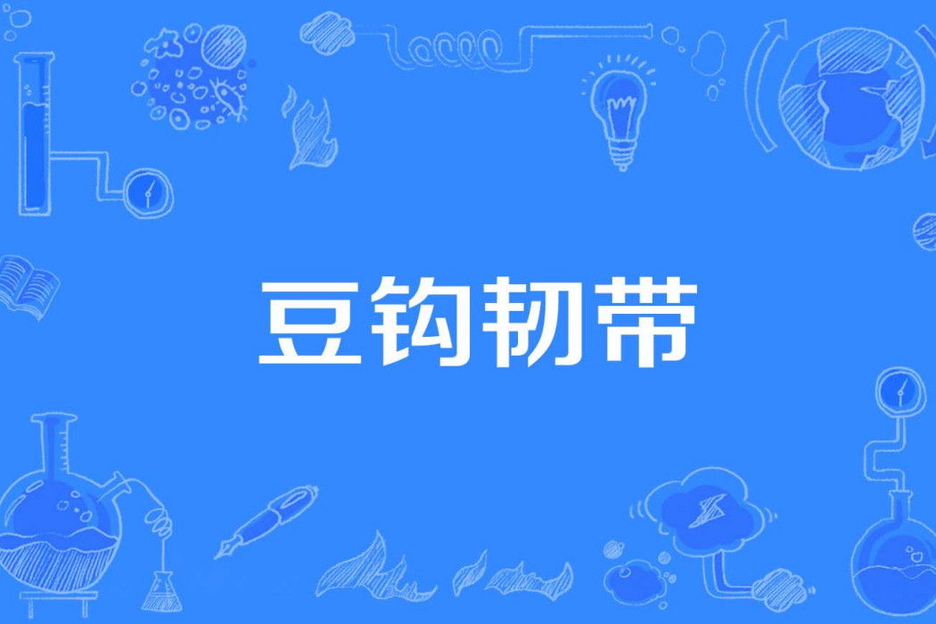 豆鉤韌帶 豆鉤韌帶