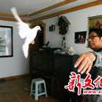 羅氏戲法 羅氏戲法