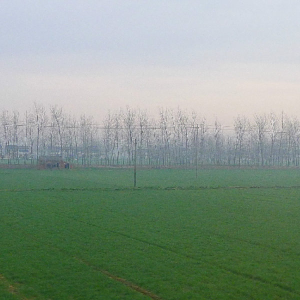 鹽城風景