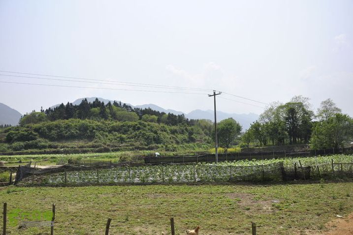 官坊村 官坊村