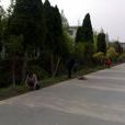 糖坊村(遼寧康平縣柳樹鄉下轄村) 糖坊村(遼寧康平縣柳樹鄉下轄村)