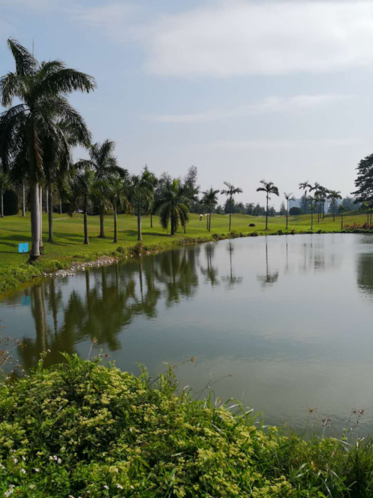仙村花園 仙村花園
