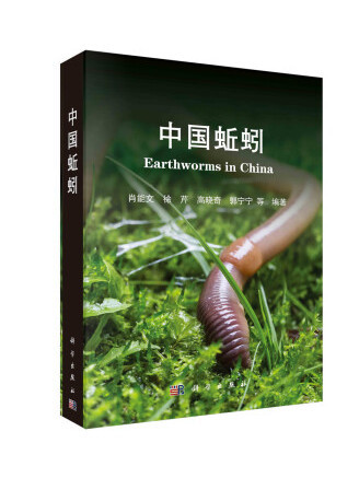 中國蚯蚓 中國蚯蚓