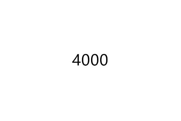 4000 4000