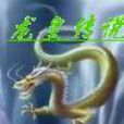 龍皇傳說(小說) 龍皇傳說(小說)