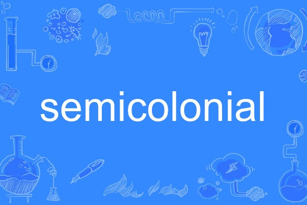 semicolonial semicolonial
