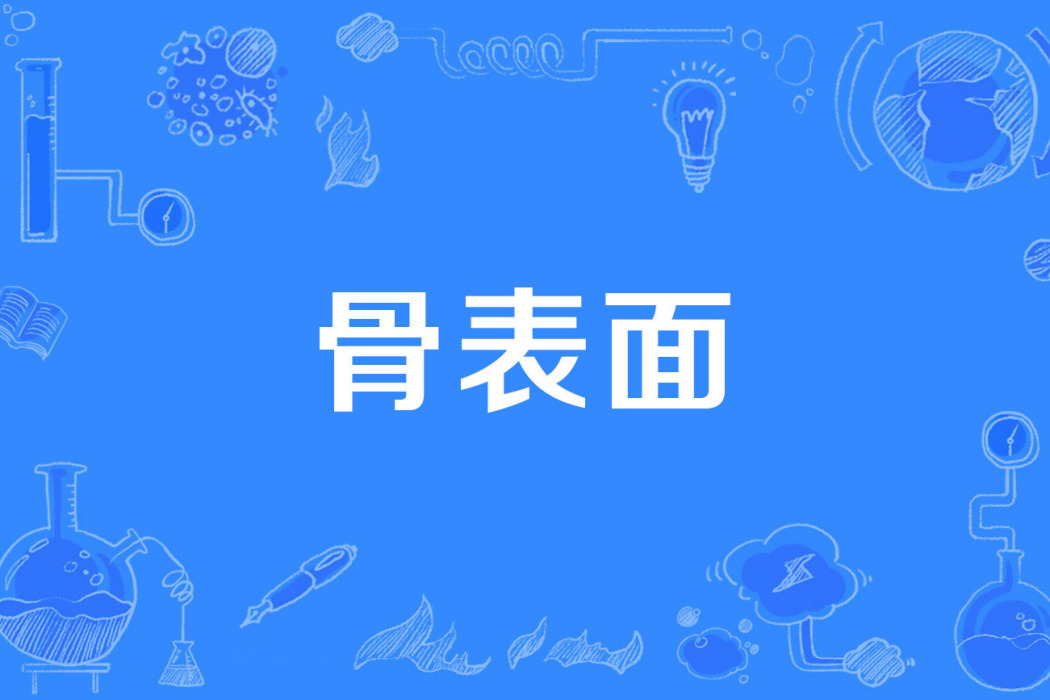 骨表面 骨表面