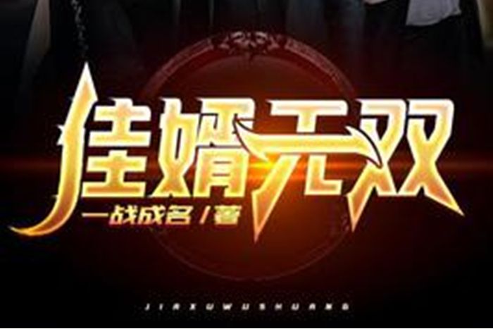 佳婿無雙 佳婿無雙