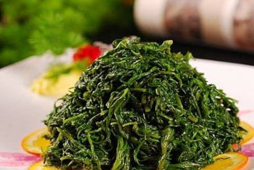 地蒼茶 地蒼茶