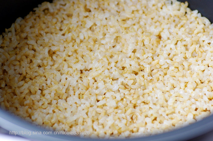 活性糙米飯