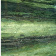 Verde Bamboo Verde Bamboo