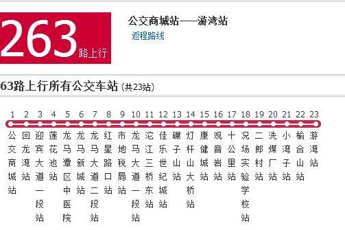 瀘州公交263路