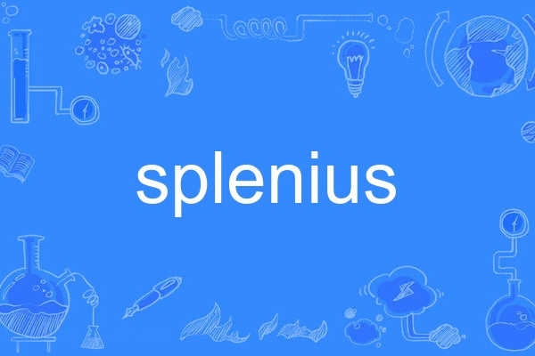 splenius splenius