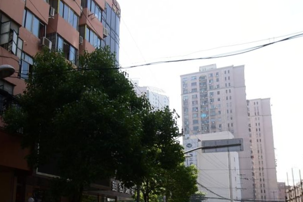 中興路401弄 中興路401弄