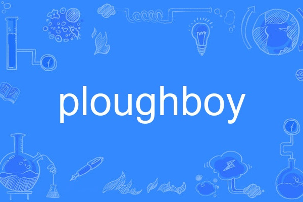 ploughboy ploughboy