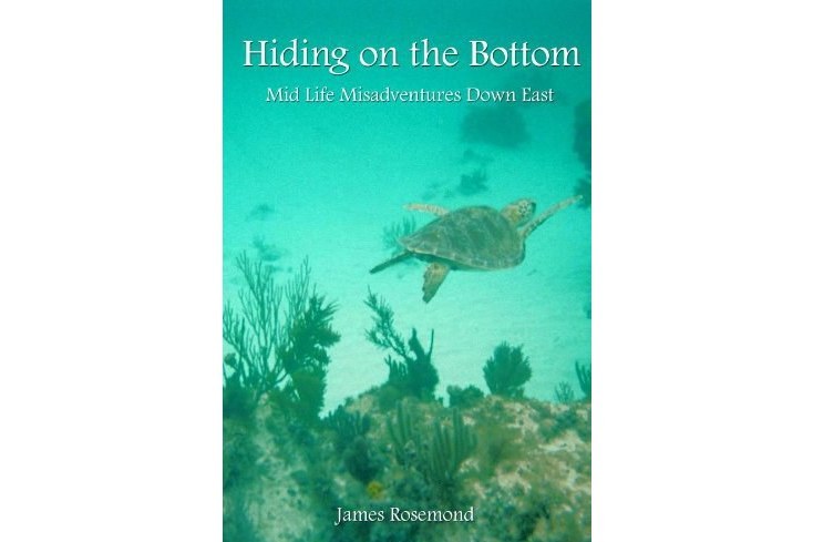 Hiding on the Bottom Hiding on the Bottom