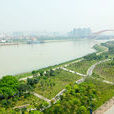 濱江公園(上海濱江公園) 濱江公園(上海濱江公園)