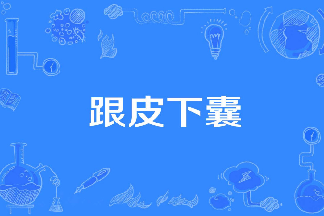 跟皮下囊