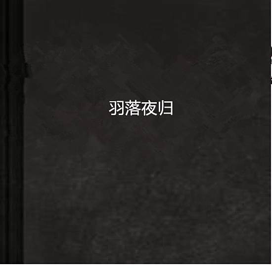 羽落夜歸 羽落夜歸
