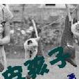 皮孩子(網路小說) 皮孩子(網路小說)