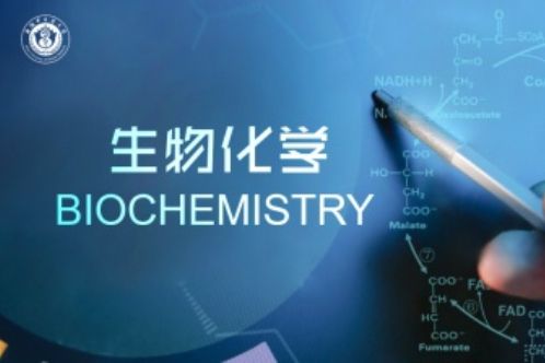 生物化學(安徽中醫藥大學建設的慕課) 生物化學(安徽中醫藥大學建設的慕課)