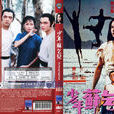 蘇乞兒(85年劉家輝主演電影) 蘇乞兒(85年劉家輝主演電影)
