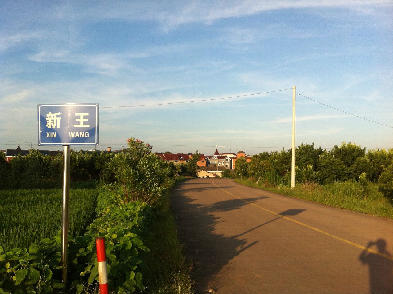 新王村(浙江省衢州市龍游縣新王村)