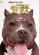 營救汪星人