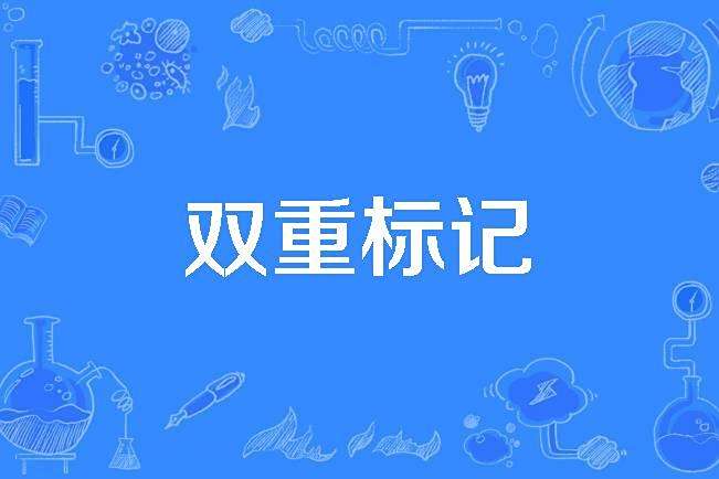 雙重標記 雙重標記