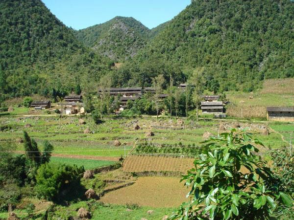 芹菜塘村(雲南省文山州西疇縣法斗鄉董有村下轄自然村) 芹菜塘村(雲南省文山州西疇縣法斗鄉董有村下轄自然村)