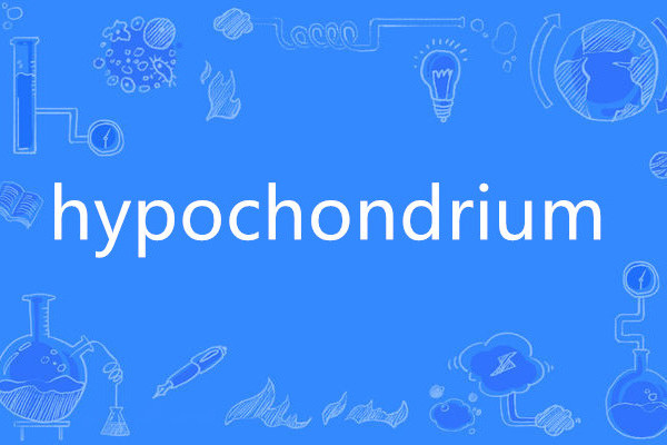 hypochondrium hypochondrium