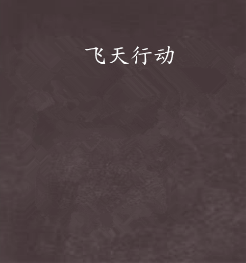 飛天行動 飛天行動