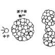 原子核模型