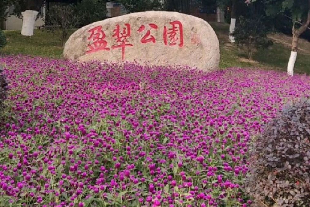 盈翠公園 盈翠公園