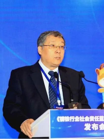 王德春(中國鋼鐵工業協會副秘書長) 王德春(中國鋼鐵工業協會副秘書長)