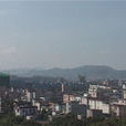 板芙村 板芙村