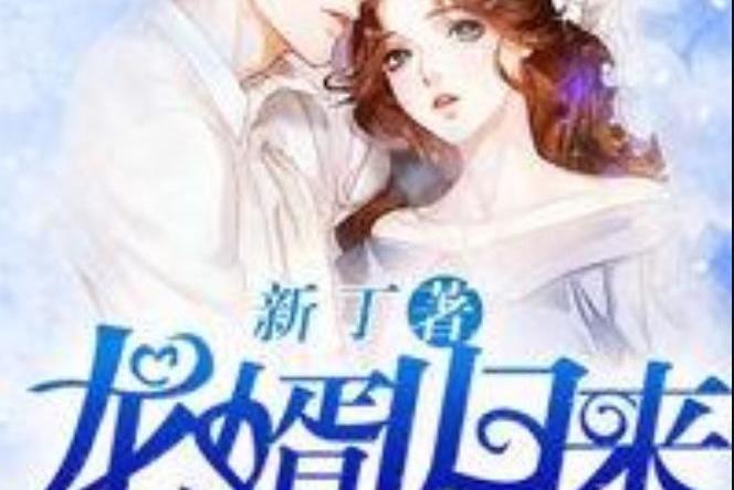 龍婿歸來(新丁所著小說) 龍婿歸來(新丁所著小說)