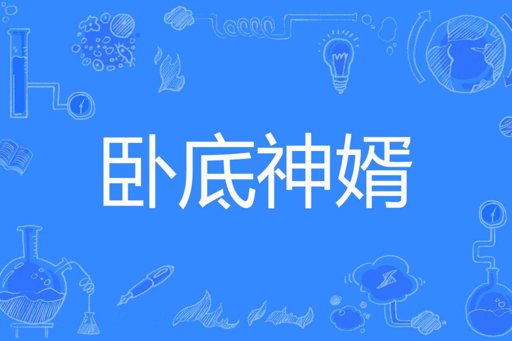 臥底神婿 臥底神婿