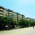 霞光村(福建省惠安縣螺陽鎮霞光村) 霞光村(福建省惠安縣螺陽鎮霞光村)