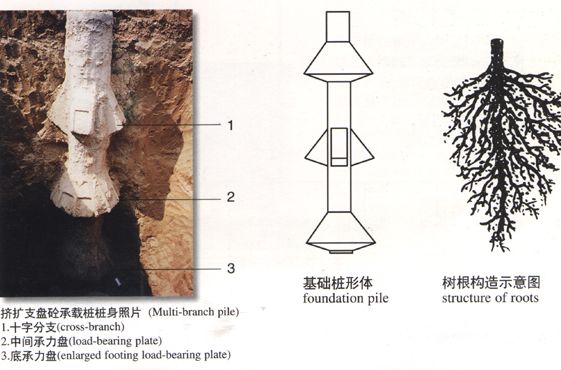 擠擴支盤樁 擠擴支盤樁