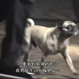 Creature Featurettes Creature Featurettes