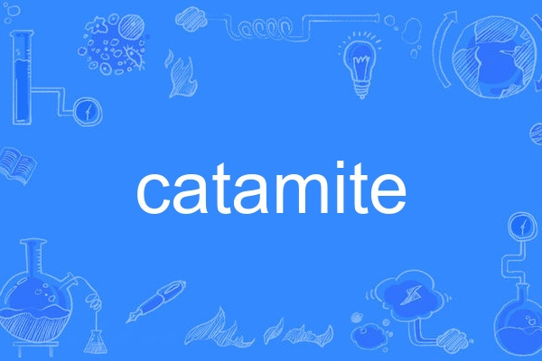 catamite catamite