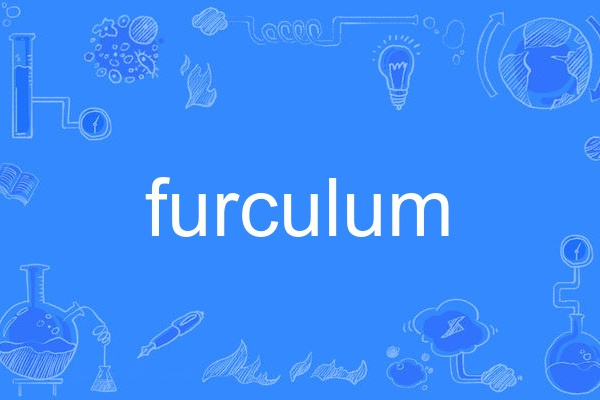 furculum furculum