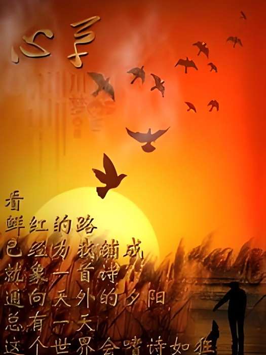 心草1 心草1