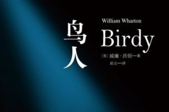 鳥人(北京時代華文書局2016年出版的圖書)