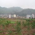 東華村(雲南省祿勸縣屏山街道下轄村) 東華村(雲南省祿勸縣屏山街道下轄村)