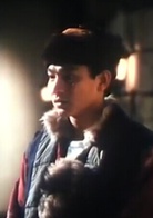 川島芳子(1990年梅艷芳、劉德華主演的香港電影)