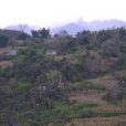 石旮旯村(雲南省紅河州金平縣營盤鄉下轄村) 石旮旯村(雲南省紅河州金平縣營盤鄉下轄村)