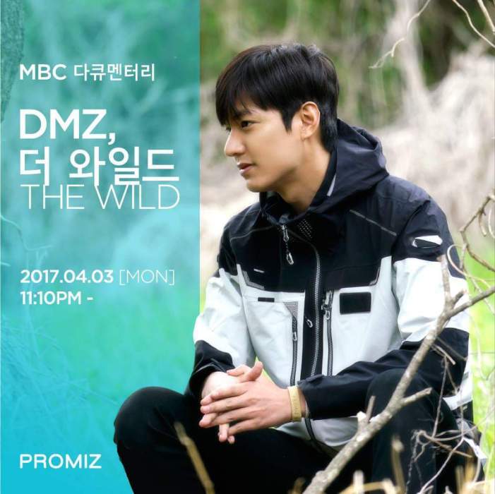 DMZ,THE WILD DMZ,THE WILD
