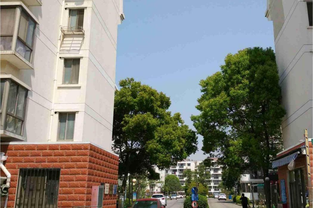 極景易家